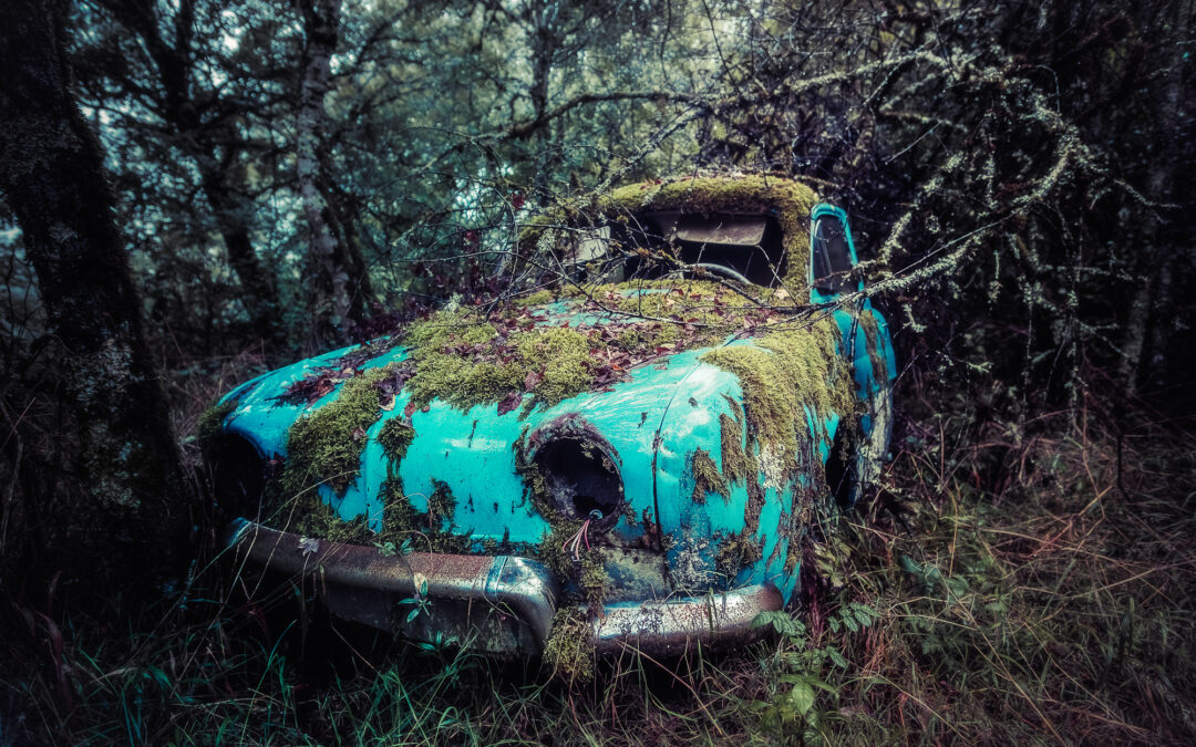 Octobre 2021 “Lieu ou objets abandonnés”