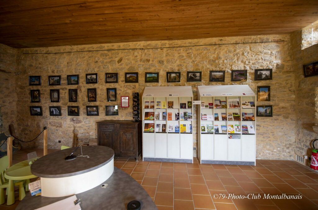 Exposition “Puycelsi 2019”
